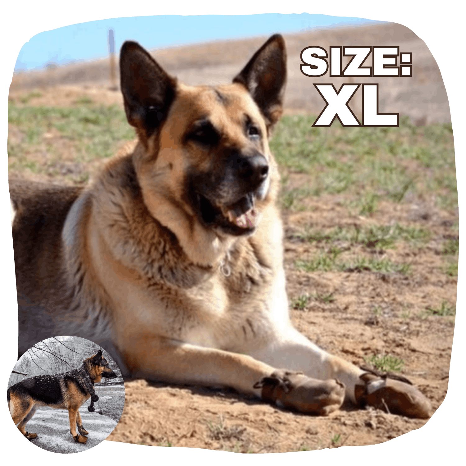 Order Dog Mocs | Dog Mocs | Best Shoes For Walking Dogs